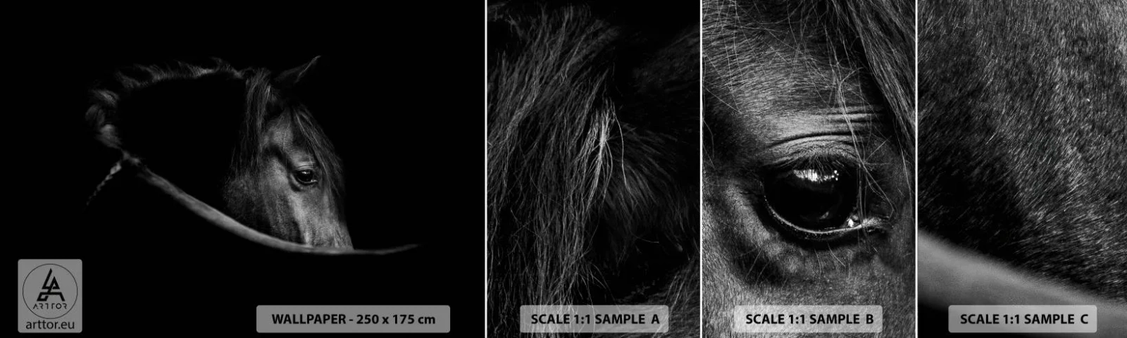 Fototapet Prov Standard Eco - Svart prins - Häst, Djur, Konstnärlig - 100x30 cm