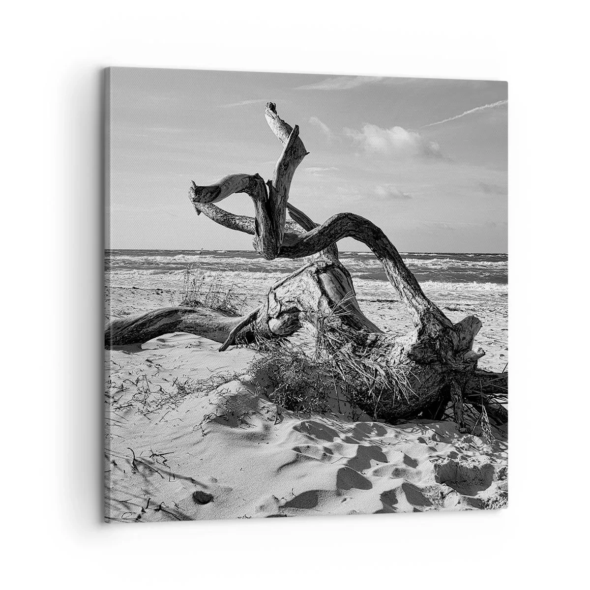 Canvastavla - Bild på duk - Havets skulptur - 60x60 cm