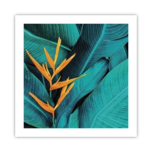 Affisch - Edens blomma - 50x50 cm