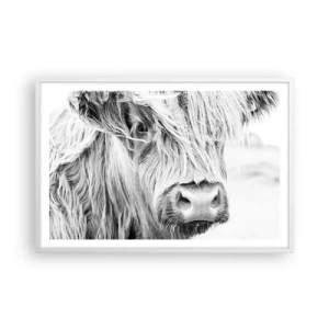 Affisch i vit ram - Skotsk vildhet - 91x61 cm