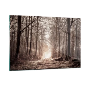 Glastavla - Bild på glas - Skogens domkyrka - 120x80 cm