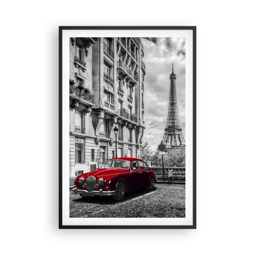 Affisch i svart ram - Rovdjuret i staden - 61x91 cm