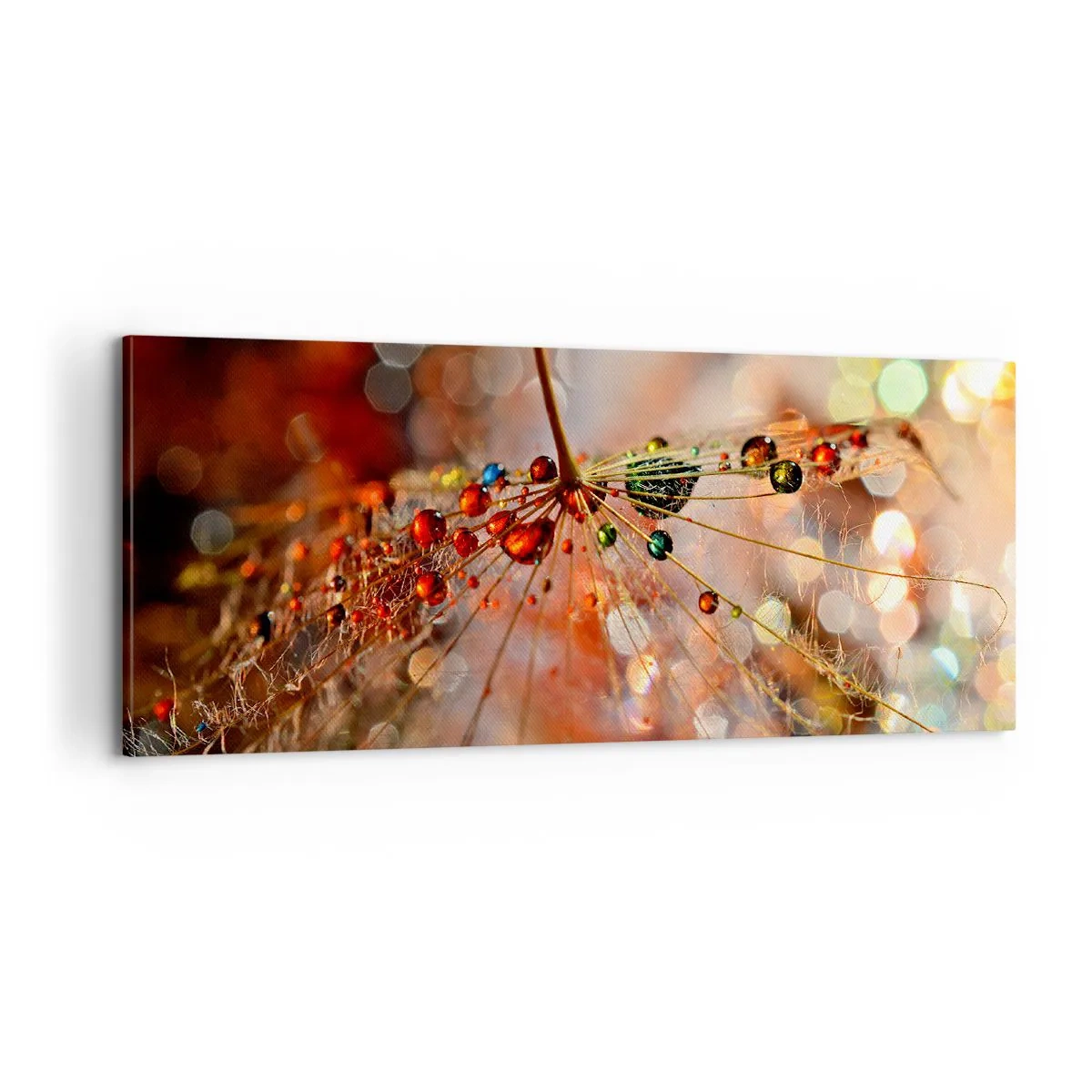 Canvastavla - Bild på duk - Trädda på spindelnät - 100x40 cm