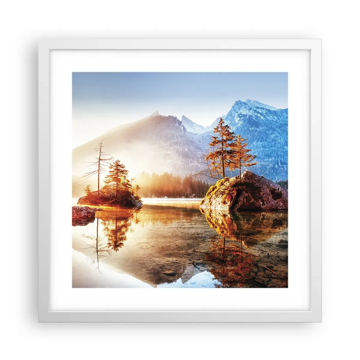 Affisch i vit ram - Naturen i ett nytt ljus - 40x40 cm