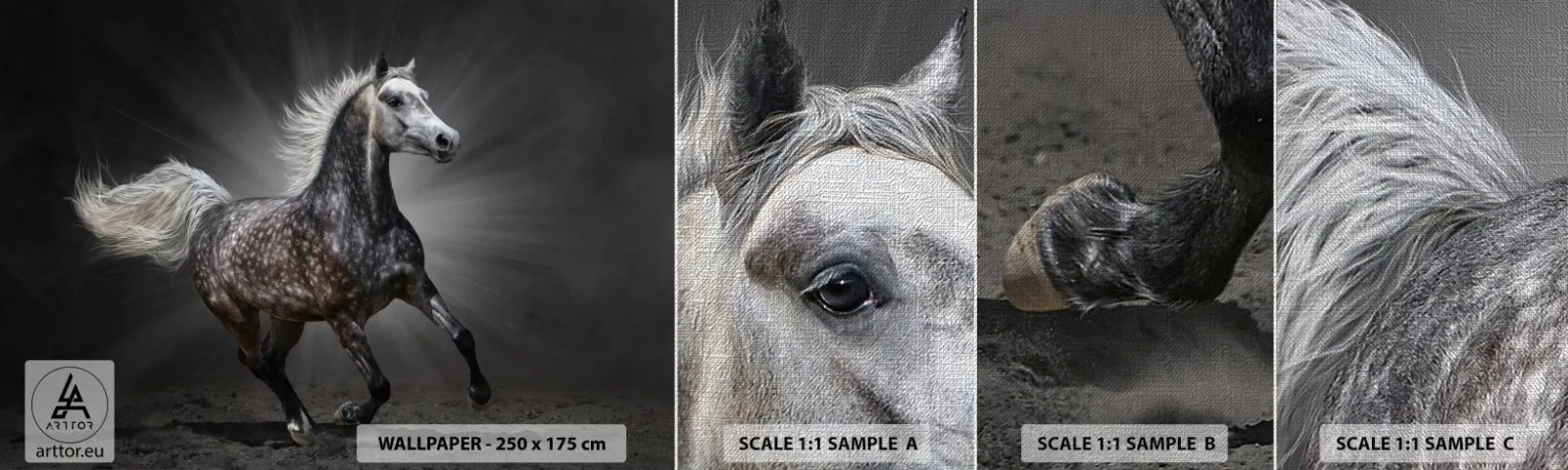 Provbit av fototapet Premium Canvas - Grått är vackert - Djur, Arabisk häst, Natur - 100x30 cm