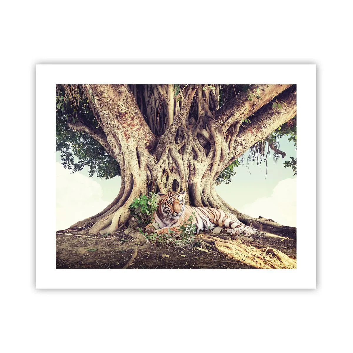 Affisch - Vi från Första Moseboken - 50x40 cm