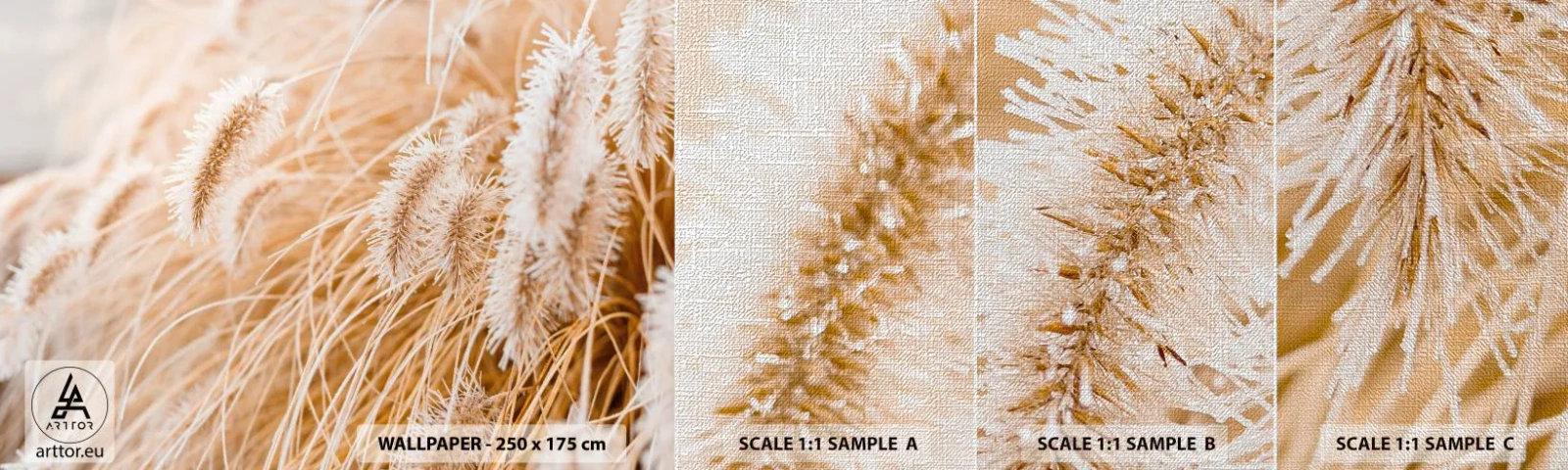 Provbit av fototapet Premium Canvas - Gyllene gräsrassel - Pampas gräs, Äng, Natur - 100x30 cm