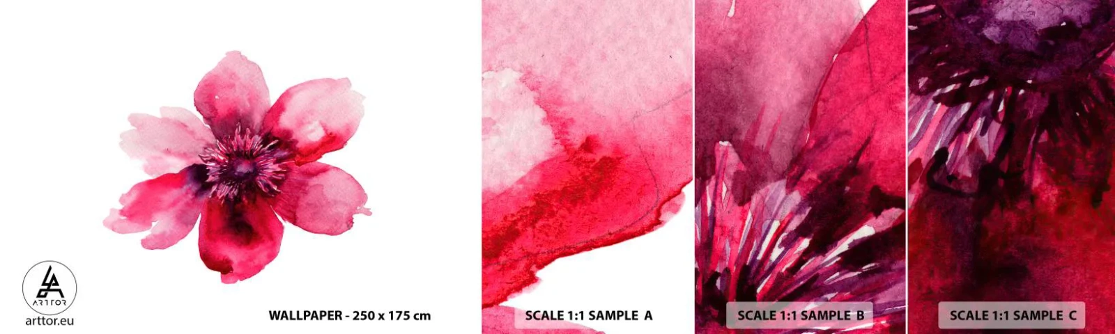 Provbit av självhäftande fototapet Deluxe Sticker - Doftande karminkyss - Blomma, Vattenfärger, Grafik - 100x30 cm