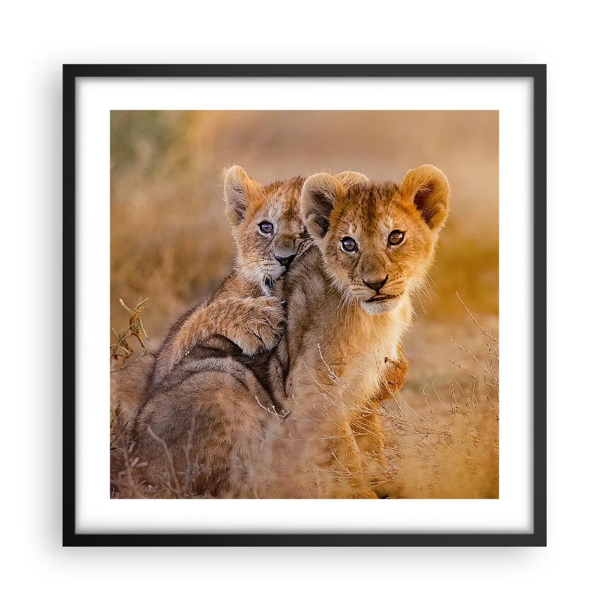 Affisch i svart ram - Stör inte! Vi har kul - 50x50 cm