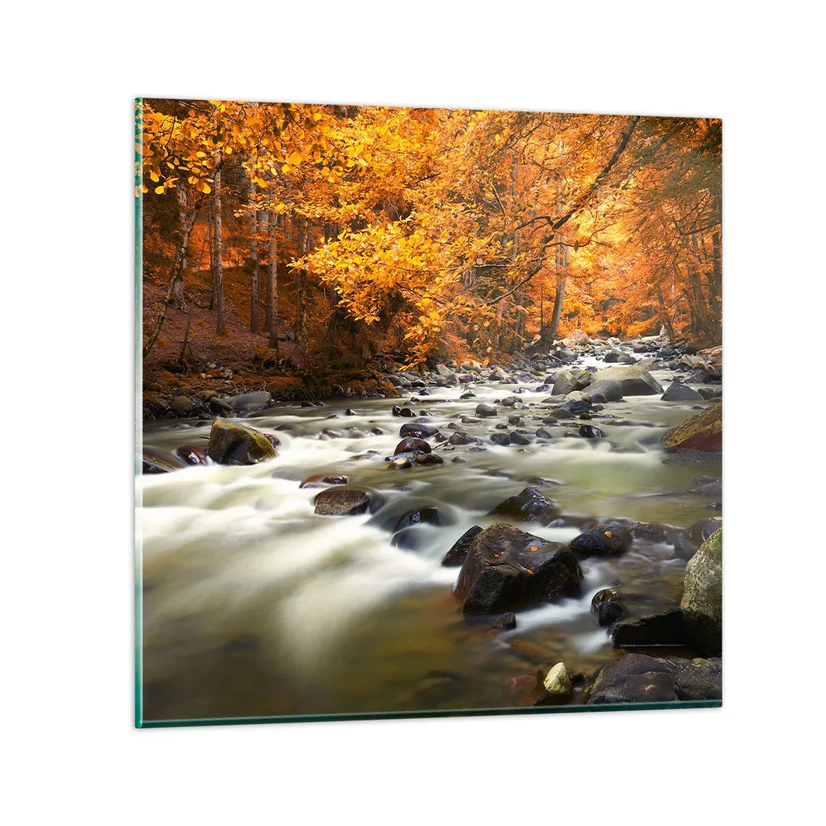 Glastavla - Bild på glas - Bäck i guldskogen - 30x30 cm