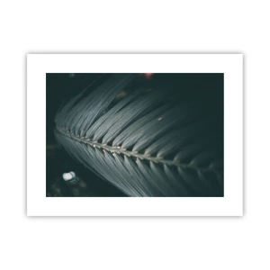Affisch - Naturens precision - 40x30 cm