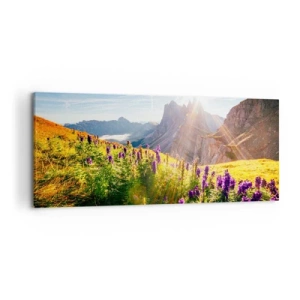 Canvastavla - Bild på duk - Örternas hemliga liv - 120x50 cm