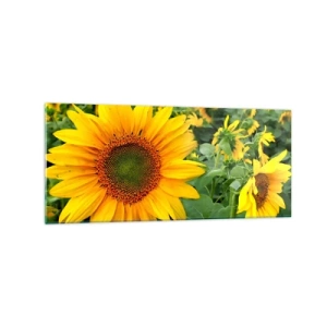 Glastavla - Bild på glas - Hundratals brinnande solar - 120x50 cm