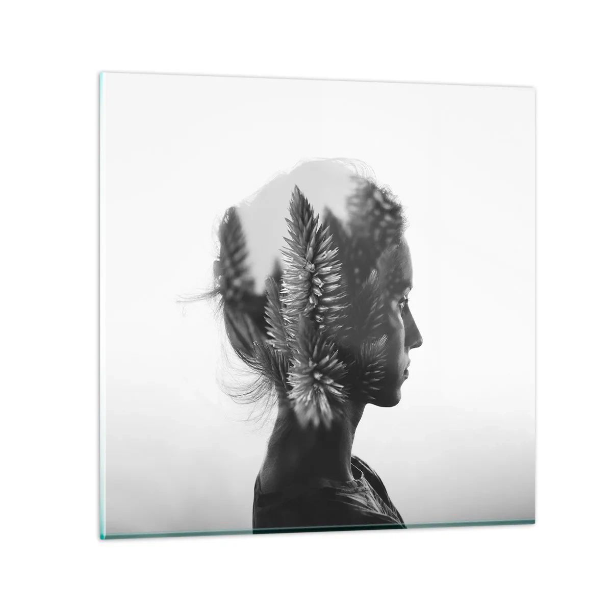 Glastavla - Bild på glas - Furuskogens härskarinna - 40x40 cm