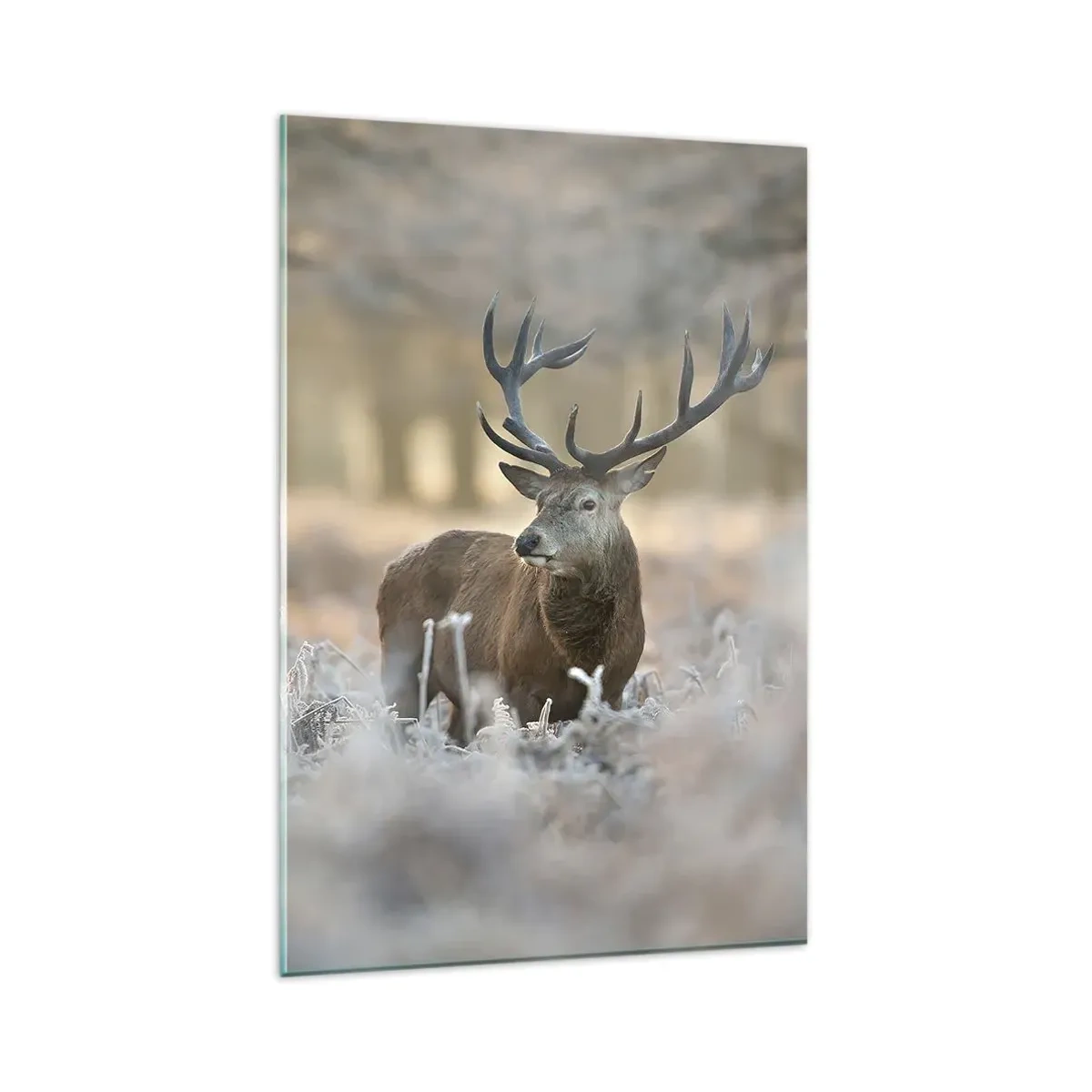 Glastavla - Bild på glas - Uppfriskande morgon - 80x120 cm