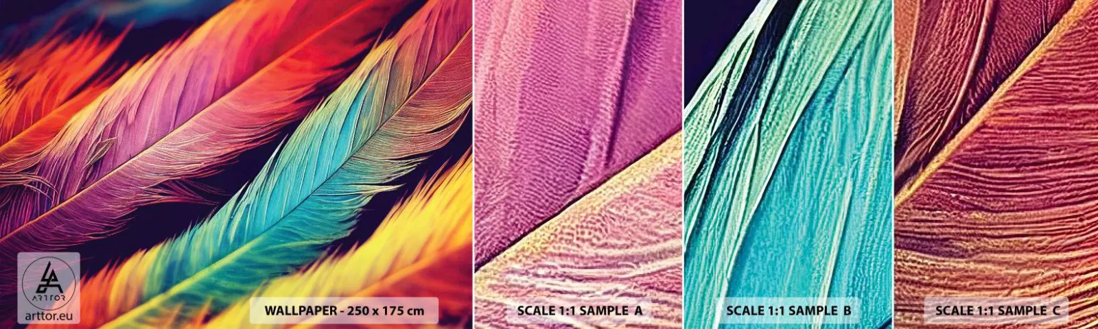 Fototapet Prov Standard Eco - Fjäderlik regnbåge - Fjädrar, Ljus, Färgrik - 100x30 cm