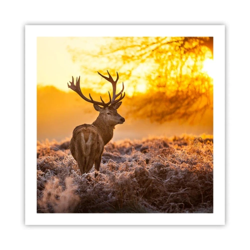 Affisch - Höstskogens kung - 60x60 cm