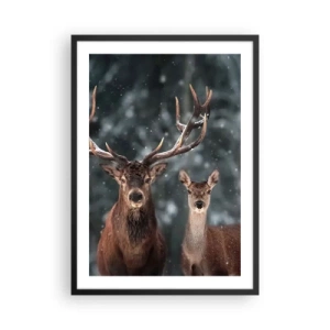 Affisch i svart ram - Ett par rådjur mot bakgrund av en vinterskog - 50x70cm - Skogens herre med hustrun - Modern väggdekoration för vardagsrum och sovrum ARTTOR