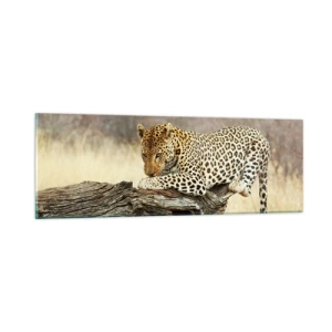 Glastavla - Bild på glas - Jag går min egen väg - 90x30 cm