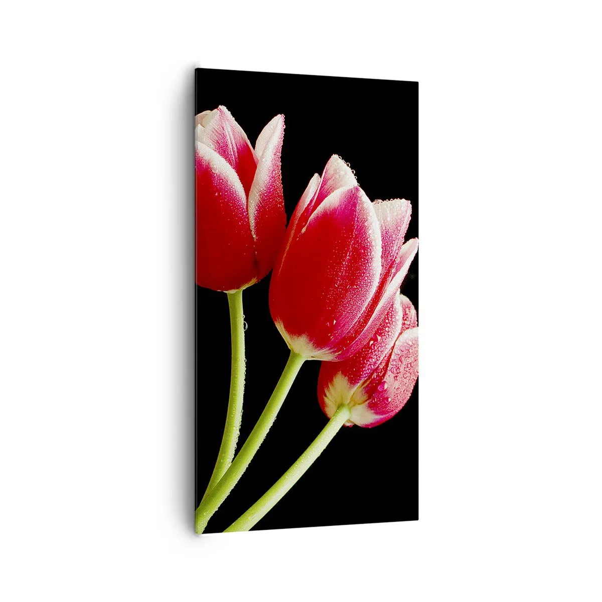 Canvastavla - Bild på duk - Ett löfte om en ren kärlek - 65x120 cm