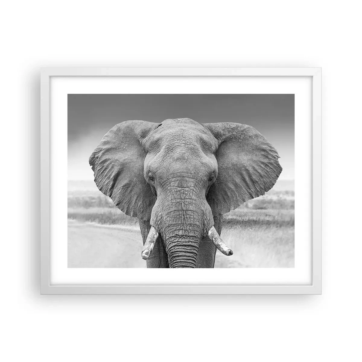 Affisch i vit ram - Välkommen till min värld - 50x40 cm