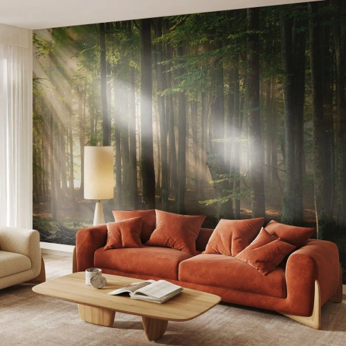 Fototapet Premium Canvas - Utstrålande på en vårmorgon - Landskap, Skog, Parkera - 200x140 cm