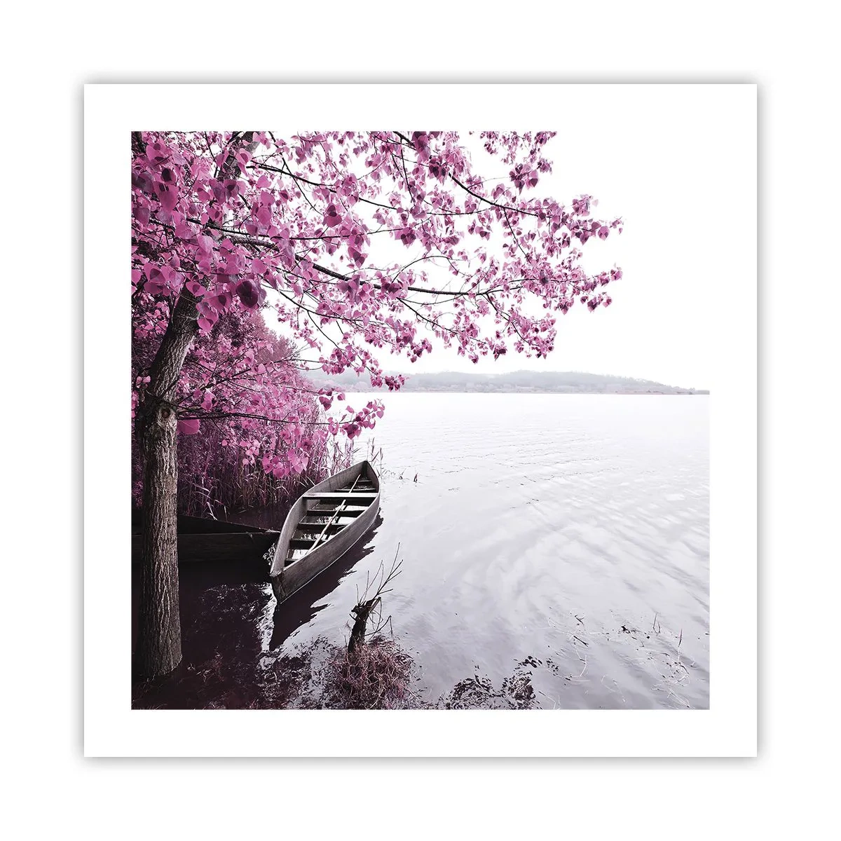 Affisch - I rosa tystnad - 50x50 cm