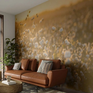 Fototapet Standard Eco - Fluffigt fält - Bomullsfält, Asien, Natur - 350x256 cm