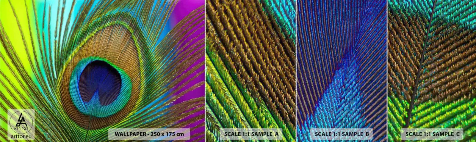 Provbit av fototapet Premium Canvas - Öga mot öga - Abstraktion, Påfågel fjäder, Bit - 100x30 cm