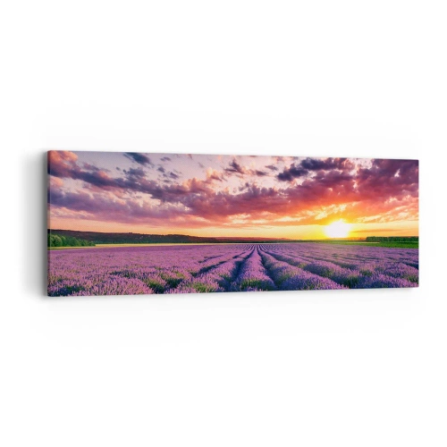 Canvastavla - Bild på duk - Lavandelvärld - 90x30 cm