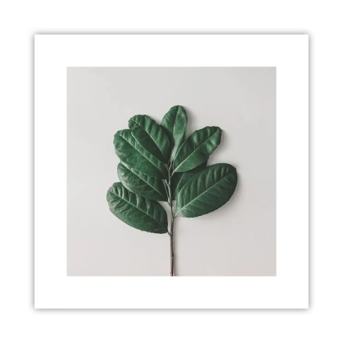 Affisch - Själva naturens bild - 30x30 cm