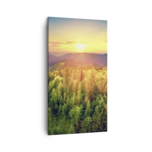 Canvastavla - Bild på duk - Trädtoppar och bergstoppar - 45x80 cm
