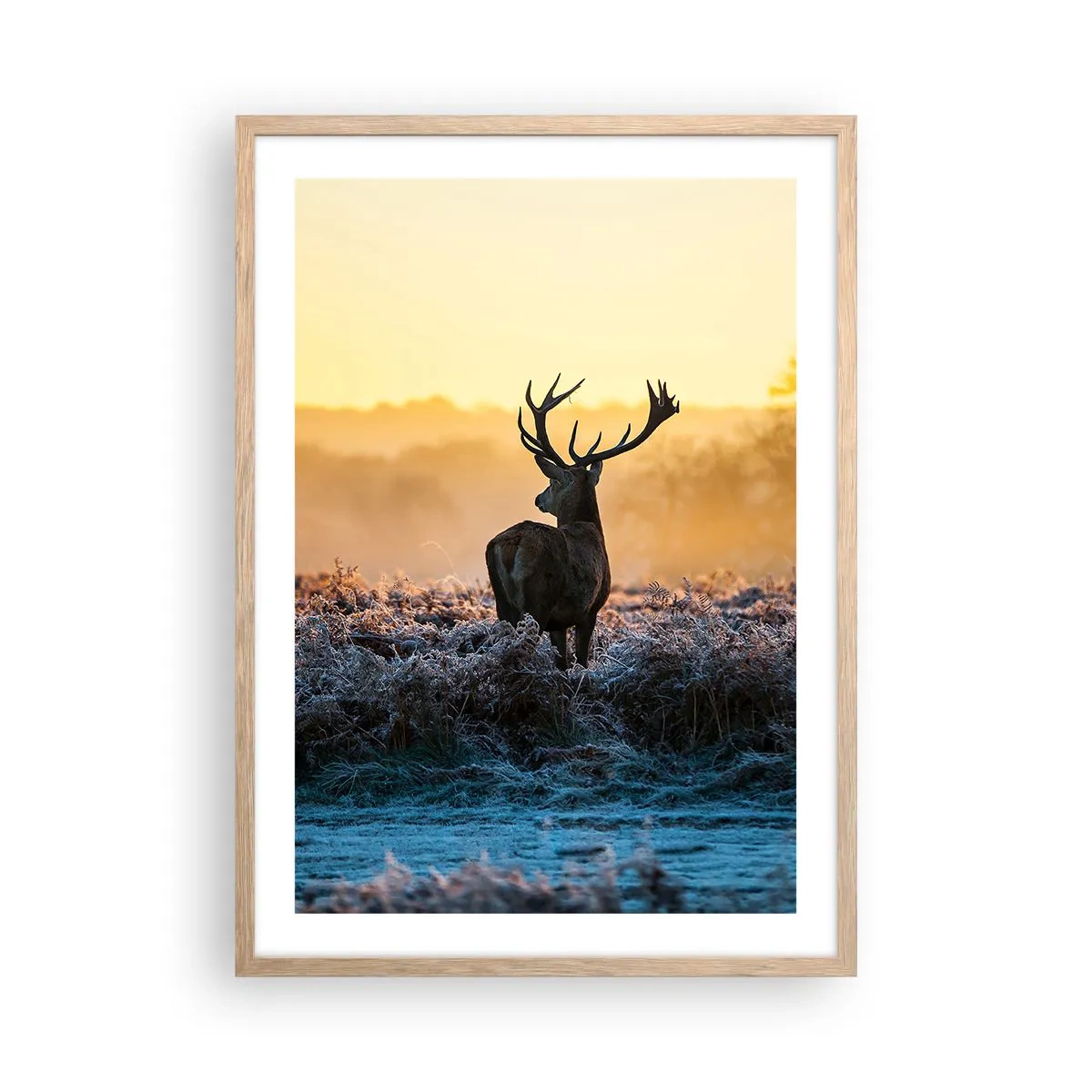 Affisch i ram av ljusek - Krönt på sin mark - 50x70 cm