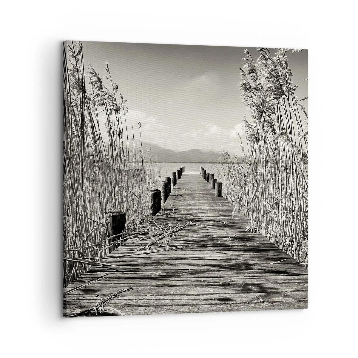 Canvastavla - Bild på duk - I gräsets fristad - 50x50 cm