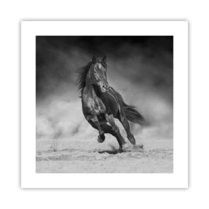 Affisch - Värd själva emiren - 40x40 cm