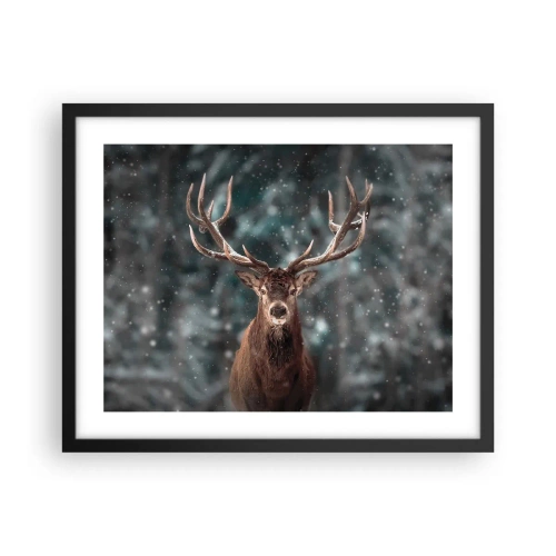 Affisch i svart ram - Krönt skogens kung - 50x40 cm