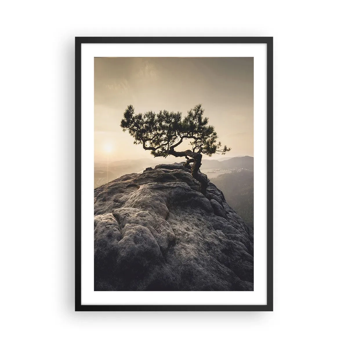 Affisch i svart ram - Ett ensamt träd på en klippig topp i ljuset av den nedgående solen - 50x70cm - Livet vinner alltid - Modern väggdekoration för vardagsrum och sovrum ARTTOR