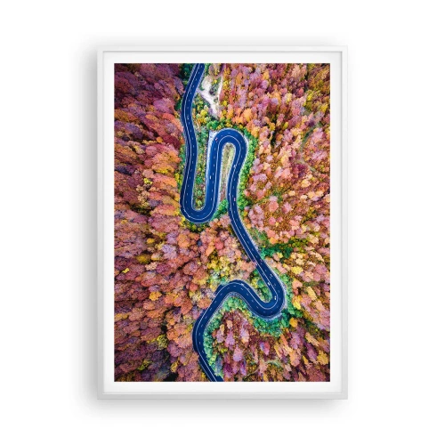Affisch i vit ram - Slingrande väg genom skogen - 70x100 cm