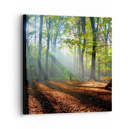 Canvastavla - Bild på duk - Sken-och skuggspel - 40x40 cm