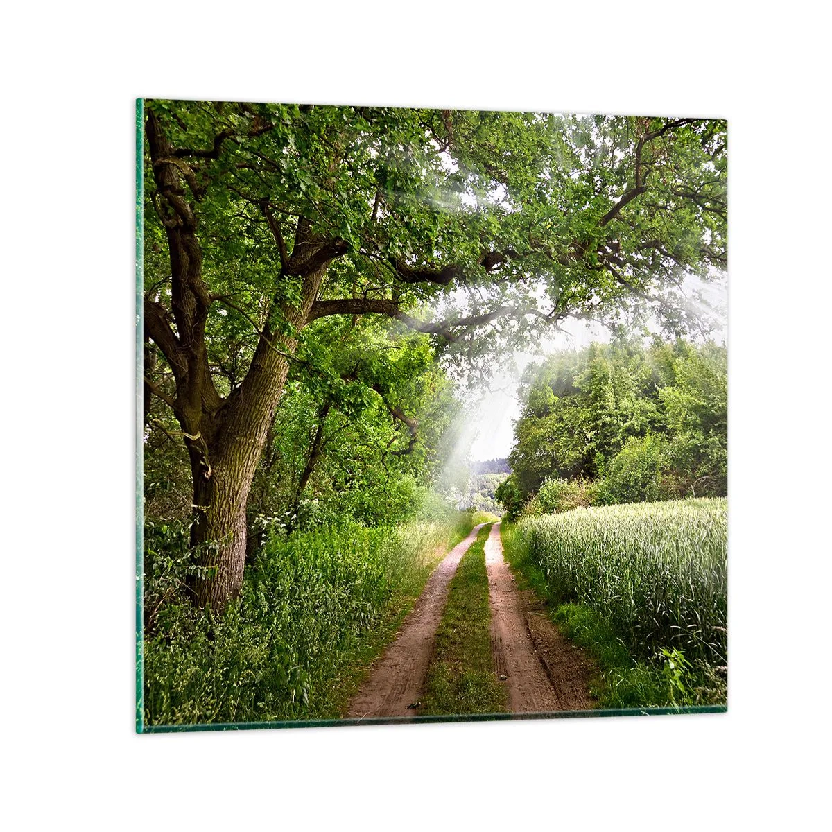 Glastavla - Bild på glas - Et in Arcadia ego - 70x70 cm