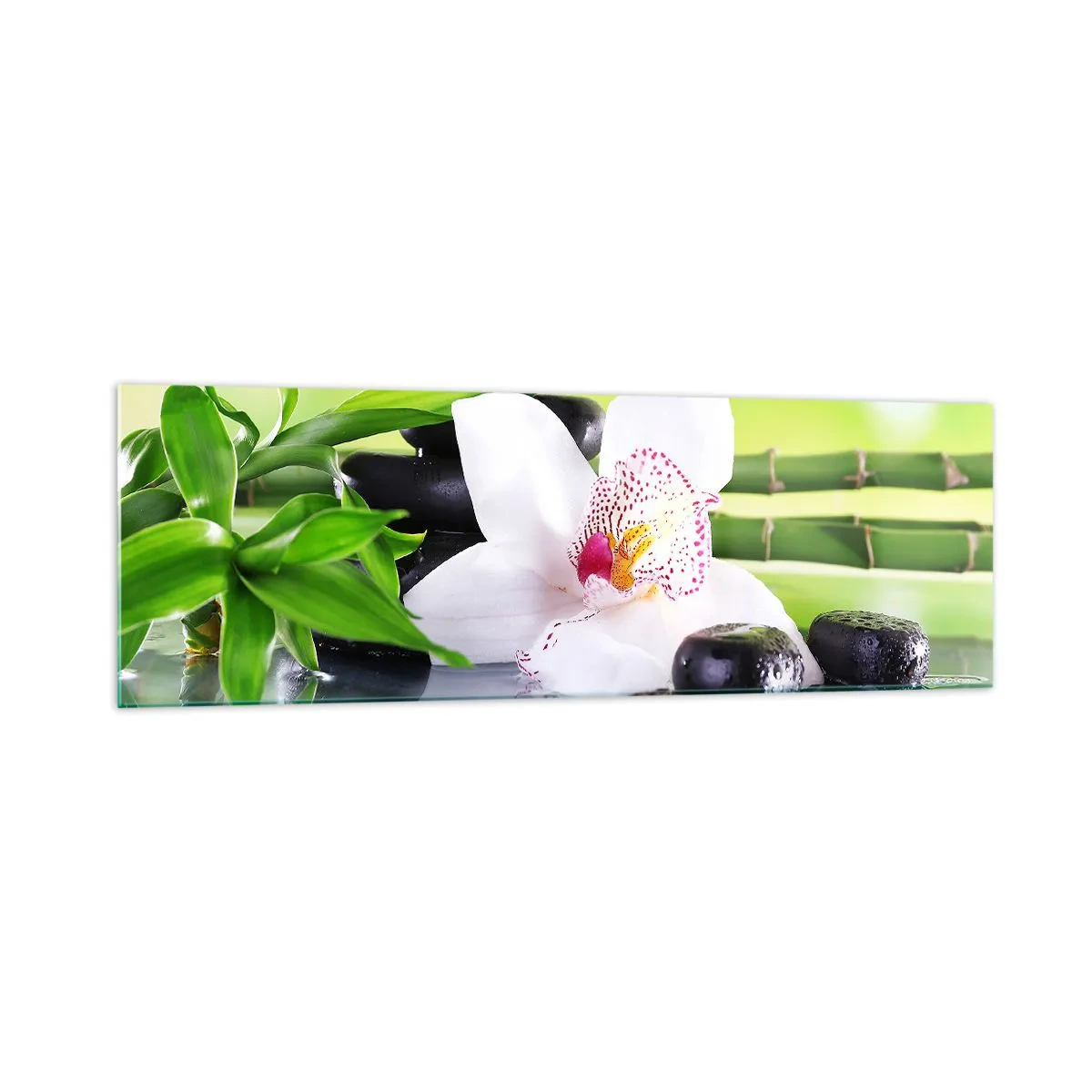 Glastavla - Bild på glas - Sval fräschhet - 160x50 cm