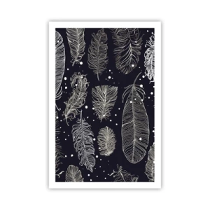 Affisch - Fjäderspets - 61x91 cm