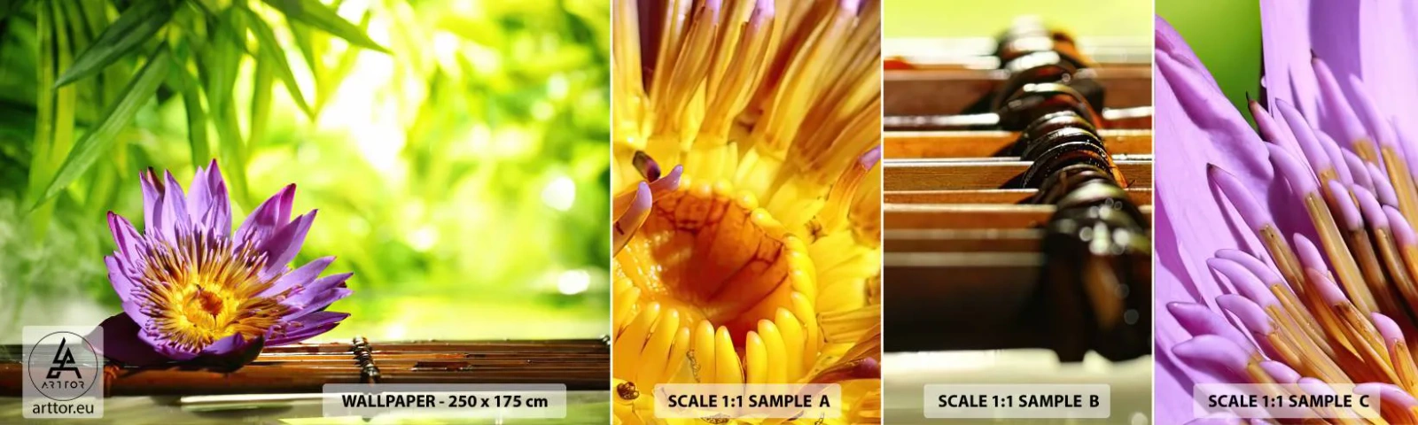 Fototapet Prov Standard Eco - I asiatisk sol - Blomma, Lotus blomma, Bambu - 100x30 cm