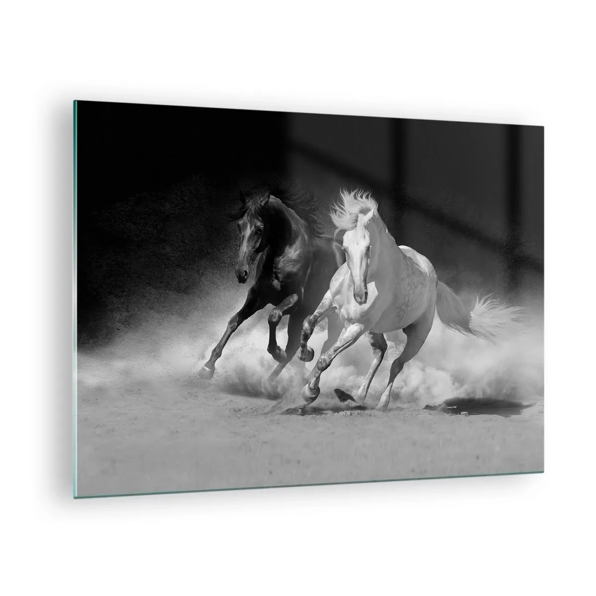 Glastavla - Bild på glas - Springande hästar i svart och vitt - 70x50cm - Frihetens galopp - Modern väggdekoration för vardagsrum och sovrum ARTTOR