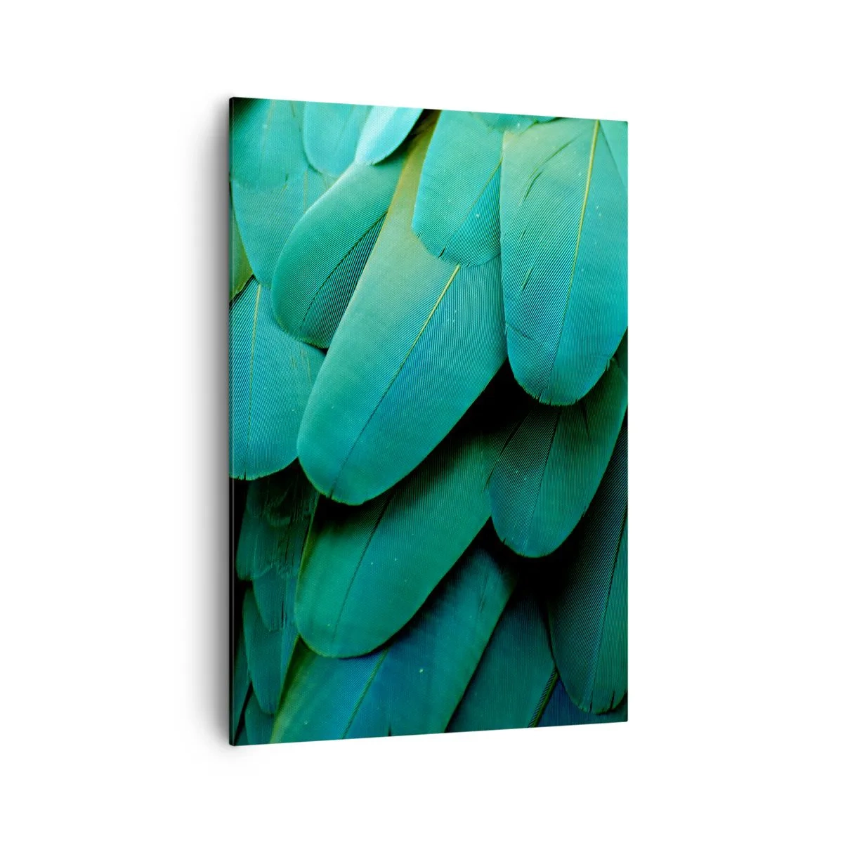 Canvastavla - Bild på duk - Precision av papegojans natur - 70x100 cm