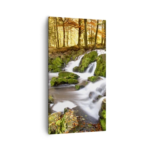 Canvastavla - Bild på duk - Kvickt genom höstskogen - 55x100 cm