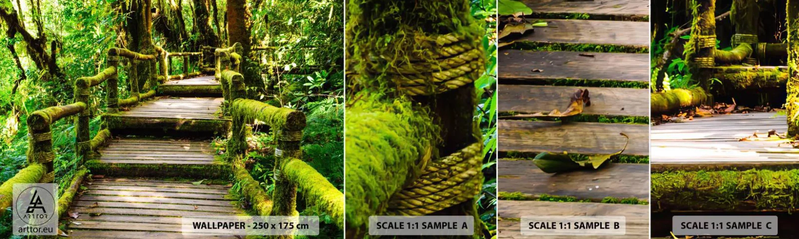 Fototapet Prov Standard Eco - Grön korridor - Natur, Landskap, Skog - 100x30 cm