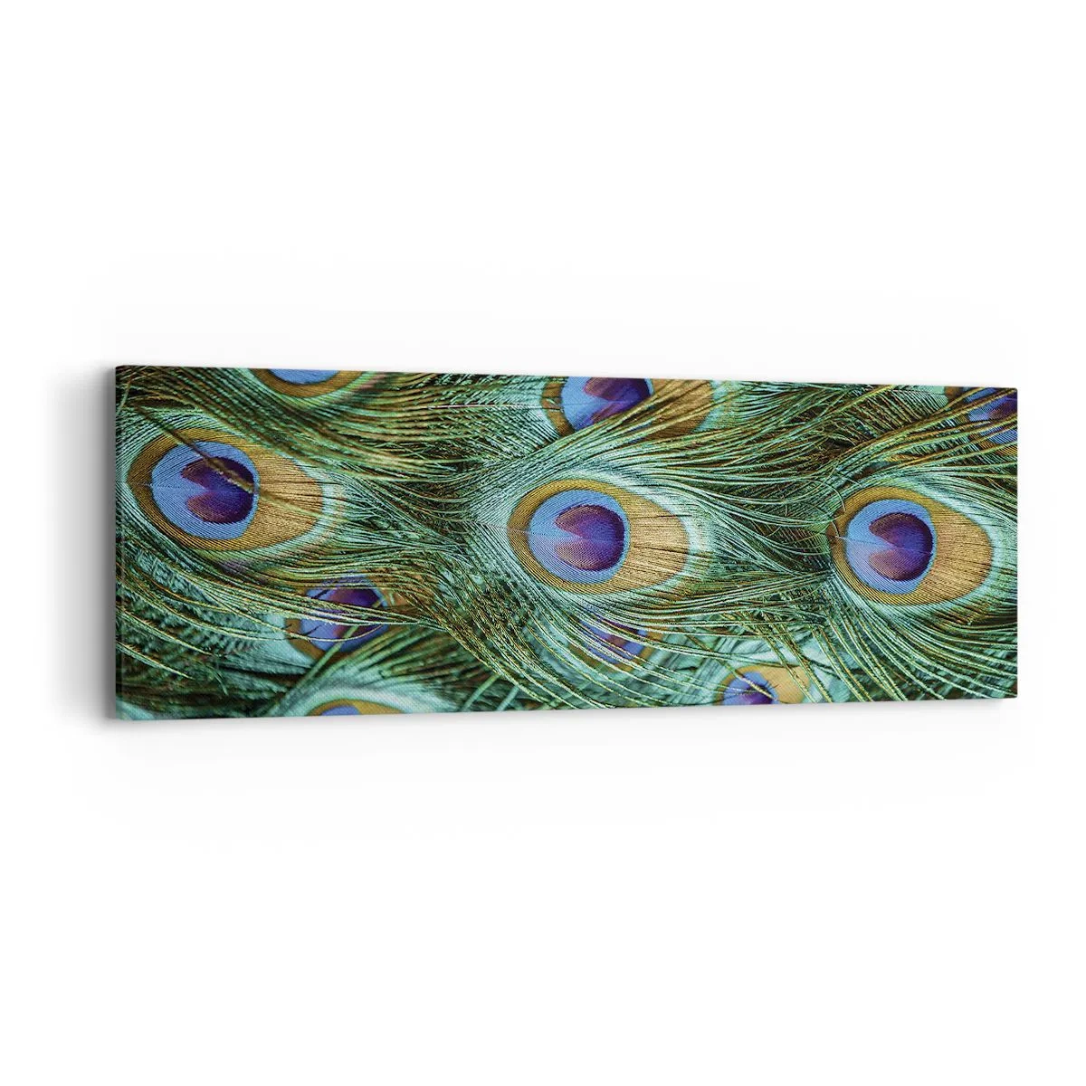 Canvastavla - Bild på duk - Påfågels blick - 90x30 cm