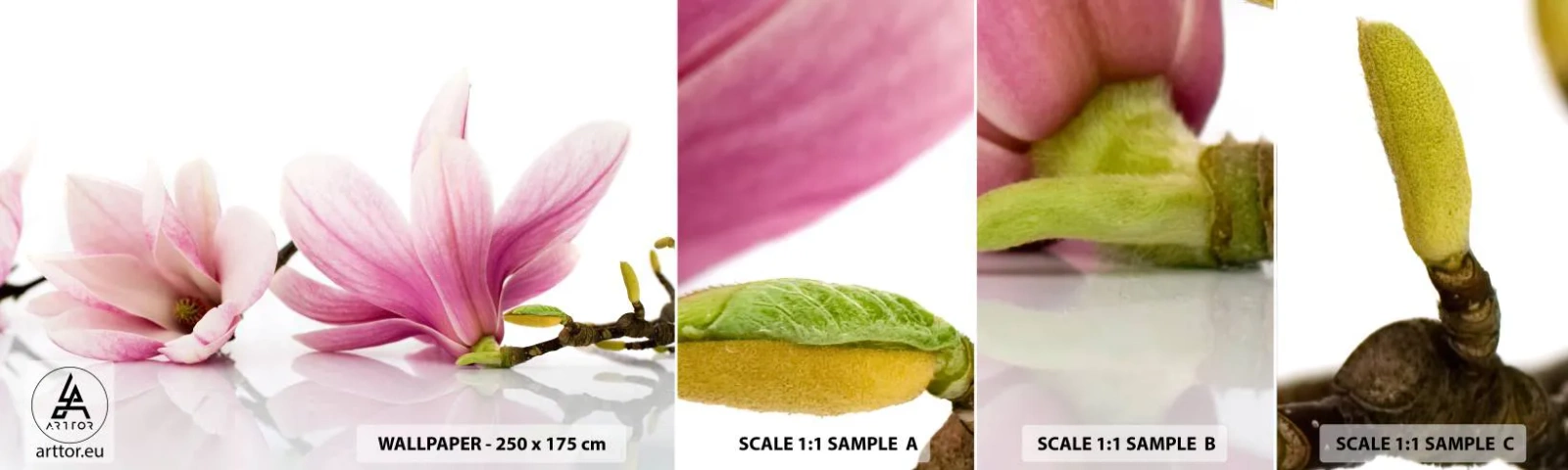 Provbit av självhäftande fototapet Deluxe Sticker - Lätta som vårkänslan - Blomma, Magnolia, Natur - 100x30 cm