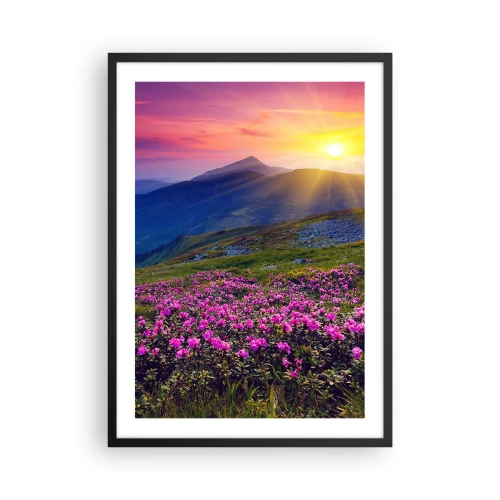 Affisch i svart ram - Bergspanorama med blommande rhododendron och solnedgång - 50x70cm - … Bergtallen doftar och örterna luktar runt omkring - Modern väggdekoration för vardagsrum och sovrum ARTTOR